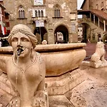 Glicine Bergamo