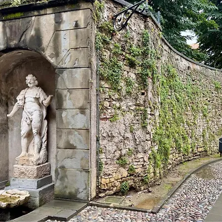 Glicine * Bergamo