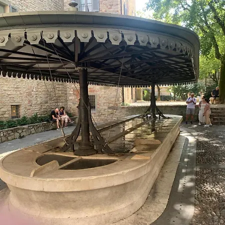 Glicine * Bergamo