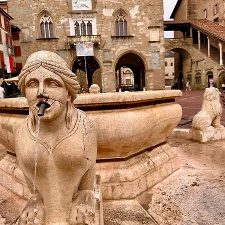 Glicine Bergamo